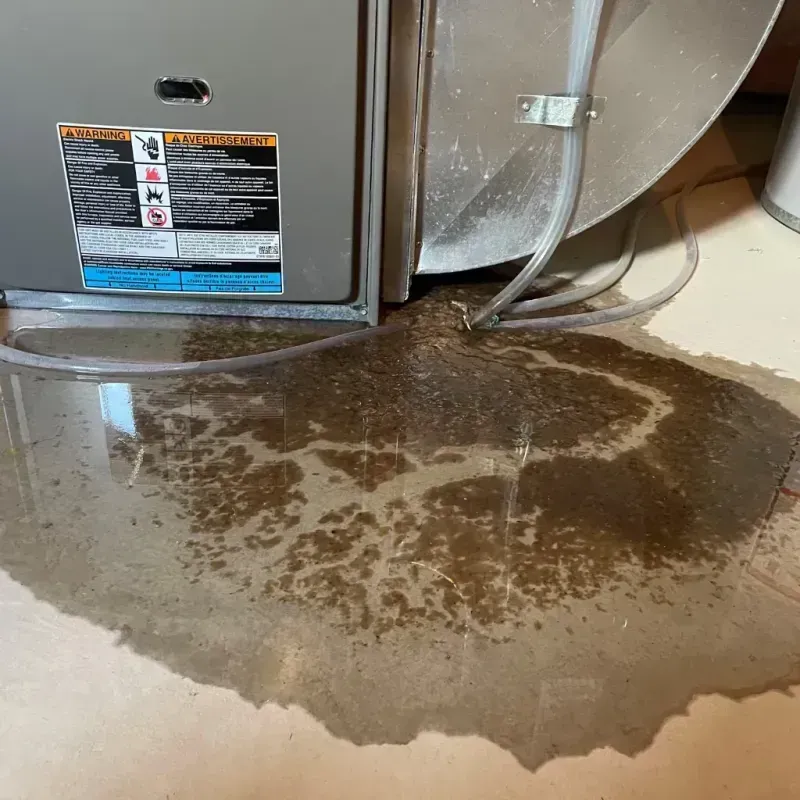 Appliance Leak Cleanup in Ovid, MI